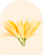 Ylang Ylang Essential Oil